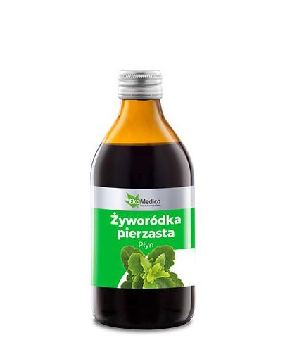 EKAMEDICA Żyworódka pierzasta - 250 ml - Apteka internetowa Melissa