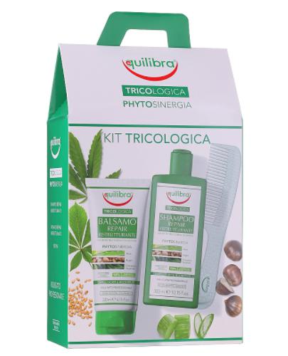  Equilibra Tricologica Zestaw Szampon naprawczy, 300 ml + Odżywka naprawcza, 200 ml + Grzebień + Saszetka szamponu przeciw wypadaniu włosów, 1 szt., cena, opinie, skład - Apteka internetowa Melissa  