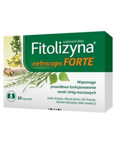  FITOLIZYNA NEFROCAPS FORTE, 30 kapsułek - Apteka internetowa Melissa  