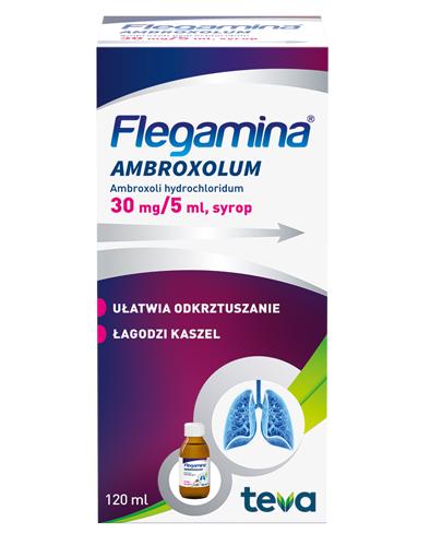  FLEGAMINA AMBROXOLUM Syrop 30 mg/5 ml - 120 ml - ułłatwia odkrztuszanie, łagodzi kaszel - cena, dawkowanie, opinie  - Apteka internetowa Melissa  