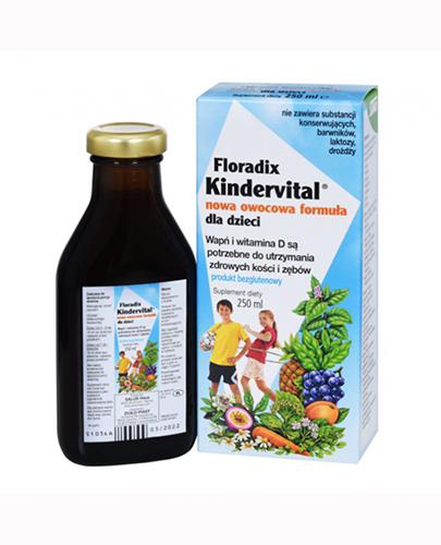 Salus Floradix Kindervital, nowa owocowa formuła, płyn, 250 ml