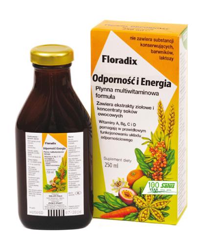 FLORADIX Odporność i energia w płynnej formule - 250 ml - Apteka internetowa Melissa