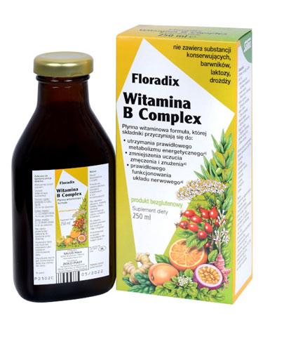 Floradix Witamina B Complex - 250 ml - cena, opinie, właściwości