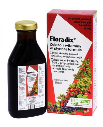  FLORADIX Żelazo i witaminy w płynnej formule, 250 ml - Apteka internetowa Melissa  