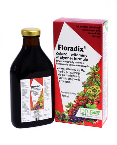  FLORADIX Żelazo i witaminy w płynnej formule - 500 ml - Apteka internetowa Melissa  