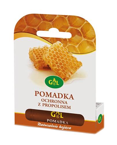 GAL Pomadka ochronna z propolisem - 4,3 g - Apteka internetowa Melissa