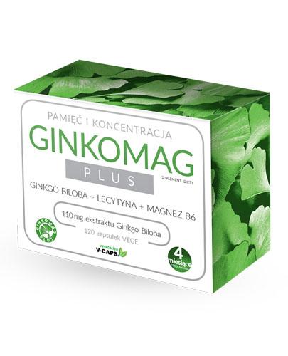 GINKOMAG Plus - 120kaps Do utrzymania prawidłowego funkcjonowania mózgu - cena, opinie, dawkowanie
