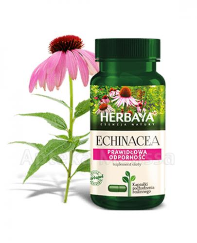 HERBAYA Echinacea - 60 kaps. - Drogeria Melissa