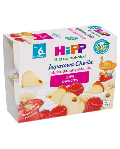  HIPP BIO JOGURTOWA CHWILA Deser jogurtowy z owocami Jabłka-Banany-Maliny po 6. miesiącu - 4 x 100g - Apteka internetowa Melissa  