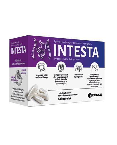  INTESTA - 60 kapsułek - Apteka internetowa Melissa  