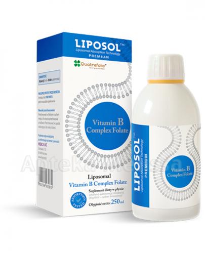  LIPOSOL Vitamin B Complex folate - 250 ml - Apteka internetowa Melissa  