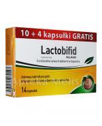 WALMARK LACTOBIFID - 14 kaps.