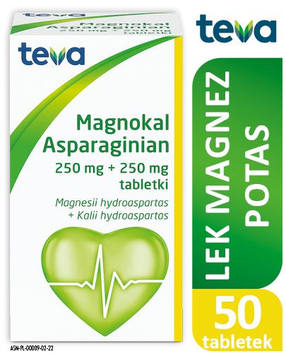  ASPARAGINIAN MAGNOKAL, preparat wspomagający układ krążenia, 50 tabletek - Apteka internetowa Melissa  