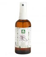 Ajeden Hydrolat ogórkowy - 100 ml