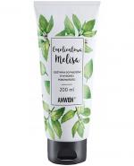 Anwen Emolientowa Melisa Odżywka do włosów o wysokiej porowatości, 200 ml