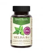 Avet Herbs Melissa B12 200 mg - 30 tabl. 