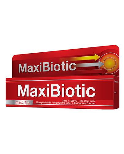 MAXIBIOTIC Maść - 5 g - Apteka internetowa Melissa