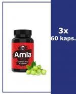 BASIC LINE Amla - 3 x 60 kaps.