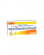  BOIRON Oscillococcinum - 6 dawek - przeziębienia - cena, opinie, stosowanie