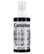  Cameleo Spray & Go Koloryzujący spray do włosów Srebrny - 150 ml - cena, opinie, skład