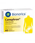  CANEPHRON, 60 tabletek