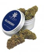 Cibidex Susz konopny CBD Blueberry - 2 g