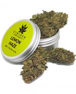 Cibidex Susz Lemon haze - 2 g