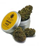 Cibidex Susz Orange haze - 2 g