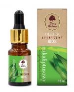 Dary Natury Olejek eteryczny eukaliptusowy 100 %, 10 ml
