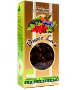 DARY NATURY Owoce lasu - 100 g