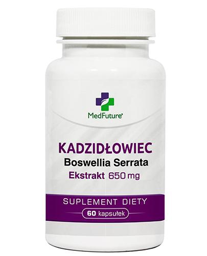 MedFuture Kadzidłowiec, 60 kapsułek - Apteka internetowa Melissa