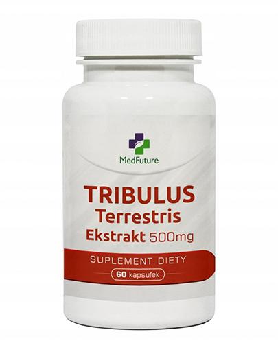  MedFuture Tribulus Terrestris ekstrakt 500 mg, 60 kaps., cena, opinie, składniki - Apteka internetowa Melissa  