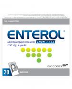    ENTEROL 250 mg - 20 kaps. - preparat przeciw biegunce - cena, opinie, wskazania
