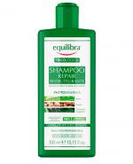  Equilibra Tricologica Naprawczy szampon restrukturyzujący, 300 ml, cena, opinie, właściwości 