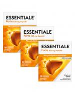  ESSENTIALE FORTE 300 mg, 3 x 50 kapsułek. Na wątrobę