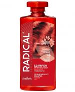  Farmona Radical Szampon chroniący kolor do włosów farbowanych i z pasemkami - 400 ml - cena, opinie, właściwości