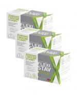  FLEXISTAV XTRA, 3 x 30 saszetek