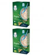 GERBER ORGANIC Kaszka pszenno - owsiana po 6 miesiącu - 2x240 g