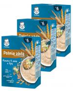 Gerber Pełnia Zbóż Kaszka 5 zbóż z lipą po 6 miesiącu - 3 x 200 g