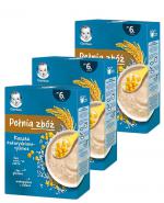 Gerber Pełnia Zbóż Kaszka kukurydziano-ryżowa po 6 miesiącu - 3 x 180 g