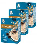 Gerber Pełnia Zbóż Kaszka ze śliwką owsiano-pszenna po 6 miesiącu - 3 x 200 g