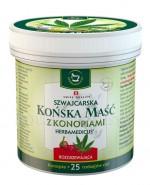 HERBAMEDICUS Końska maść z konopiami rozgrzewająca - 250 ml