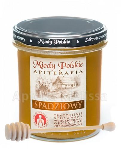MIODY POLSKIE MIÓD SPADZIOWY - 400 g - Apteka internetowa Melissa