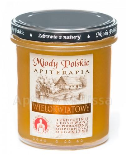 MIODY POLSKIE MIÓD WIELOKWIATOWY - 400 g - Apteka internetowa Melissa