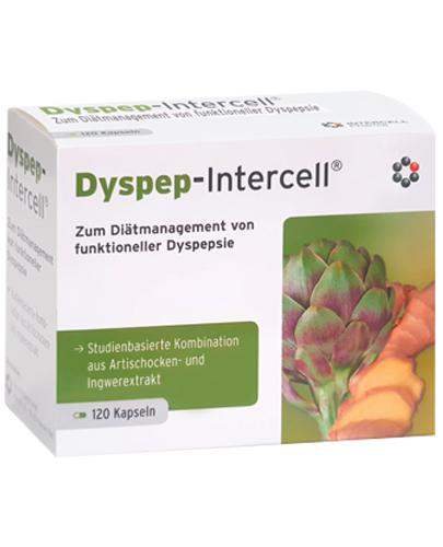  Mitopharma Dyspep-Intercell - 120 kaps. - cena, opinie, właściwości - Apteka internetowa Melissa  