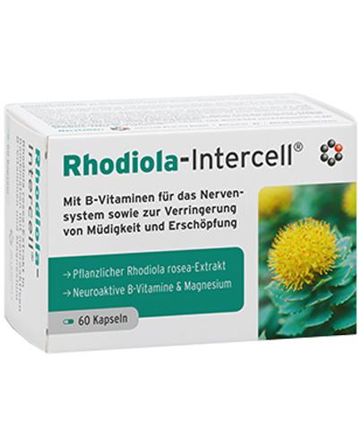  Mitopharma Rhodiola-Intercell - 60 kaps. - cena, opinie, właściwości - Apteka internetowa Melissa  