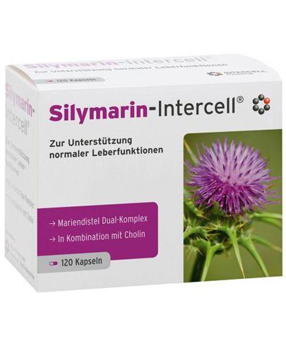  Mitopharma Silymarin-Intercell - 120 kaps. - cena, opinie, dawkowanie - Apteka internetowa Melissa  