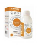 LIPOSOL Curcumin C3 complex - 250 ml