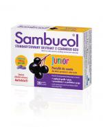 SAMBUCOL JUNIOR - 20 past.