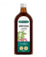 Sok Pokrzywa + Czystek - 500 ml